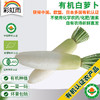 彩虹雨 新鲜有机蔬菜  白萝卜500g  欧盟认证全国发货满额包邮 商品缩略图0