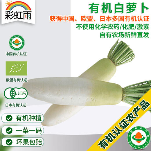 彩虹雨 新鲜有机蔬菜  白萝卜500g  欧盟认证全国发货满额包邮 商品图0