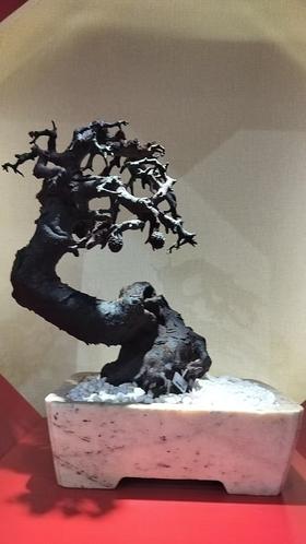 盆景摆件/小叶紫檀