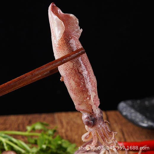 【顺丰冷链直发❗新鲜全籽海兔】让您足不出户吃上新鲜海味，从深海到餐桌看得见的品质，特大鲜活冷冻纯籽籽乌，速冻海捕野生满籽笔管鱼L 商品图1