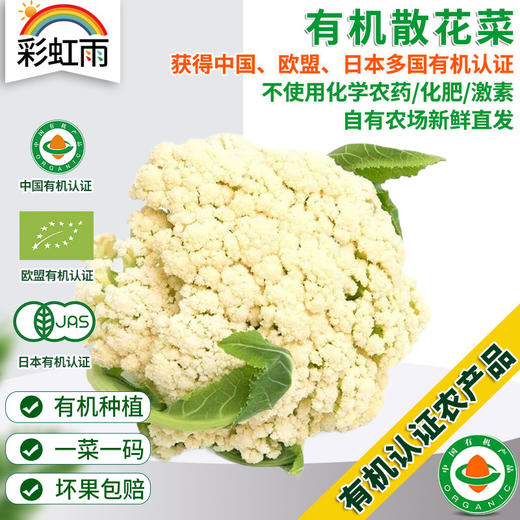 彩虹雨 有机蔬菜 散菜花松花菜 500g欧盟认证 配送 京津冀满百包邮 商品图0