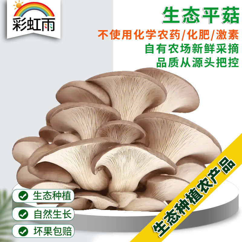 全国发货满额包邮 新鲜采摘蘑菇 平菇300g 灰平菇白平菇随机发