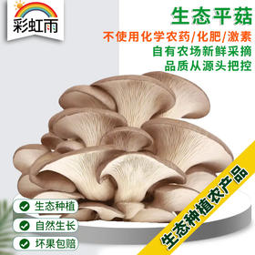 全国发货满额包邮 新鲜采摘蘑菇 平菇300g 灰平菇白平菇随机发