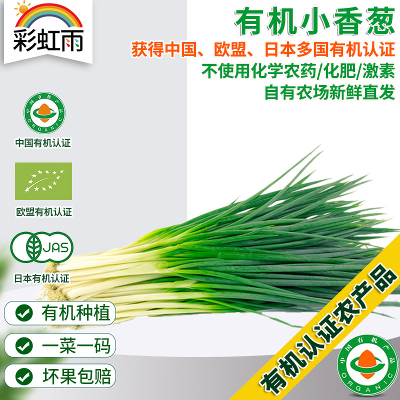 全国发货满额包邮 新鲜有机蔬菜 小葱 香葱100g欧盟认证 彩虹雨农场