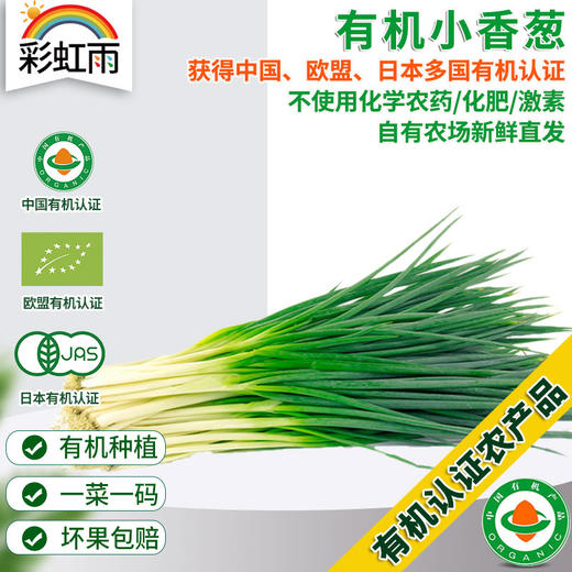 全国发货满额包邮 新鲜有机蔬菜 小葱 香葱100g欧盟认证 彩虹雨农场 商品图0