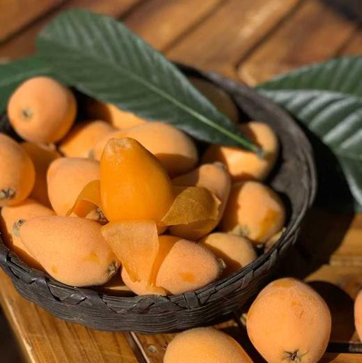 【四川攀枝花米易枇杷】淡淡的清甜，吃起来，软滑爽口，汁多鲜美 商品图7