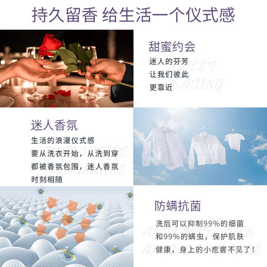 【分仓直发包邮】花卉诗鸢尾除螨香氛洗衣液2L 商品图4