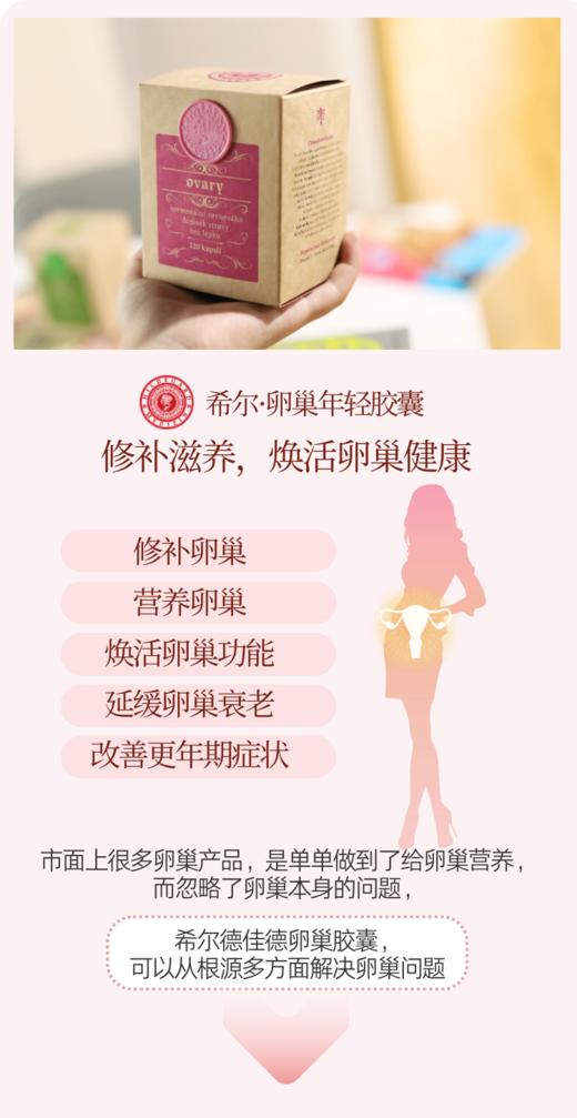 捷克圣希尔德佳德卵巢健康胶囊 调补同步卵巢年轻态120粒 商品图4