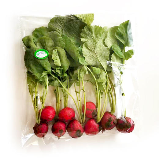 全国发货满额包邮  有机蔬菜 蔬菜樱桃萝卜250g 欧盟认证彩虹雨北京农场 商品图5