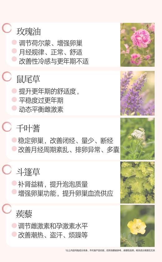 捷克圣希尔德佳德卵巢健康胶囊 调补同步卵巢年轻态120粒 商品图2