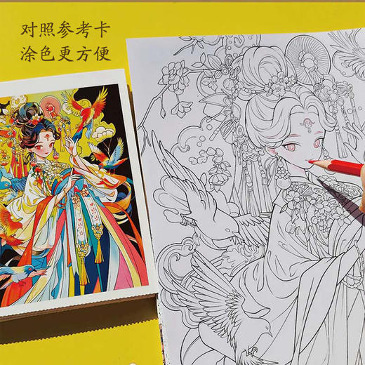 南枝依依 国潮花鸟少女插画涂色集 国风少女涂色线描集 国潮元素东方美学传统文化元素图集 附赠涂色参考和视频示例 商品图1
