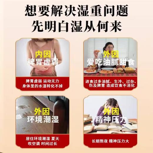 纪汉堂茯湿膏 300g/瓶 商品图2