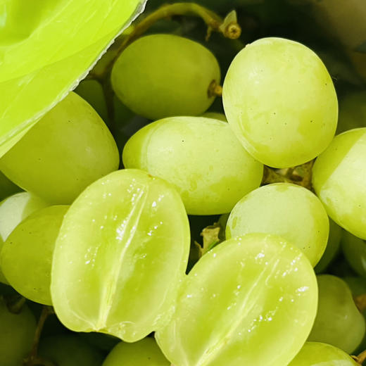 澳洲 甜地球青提  一盒5斤   (提子运输过程中摇晃可能轻微掉粒，介意慎拍~） 商品图1