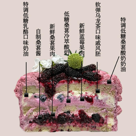 桑葚莓莓2.0 商品图1