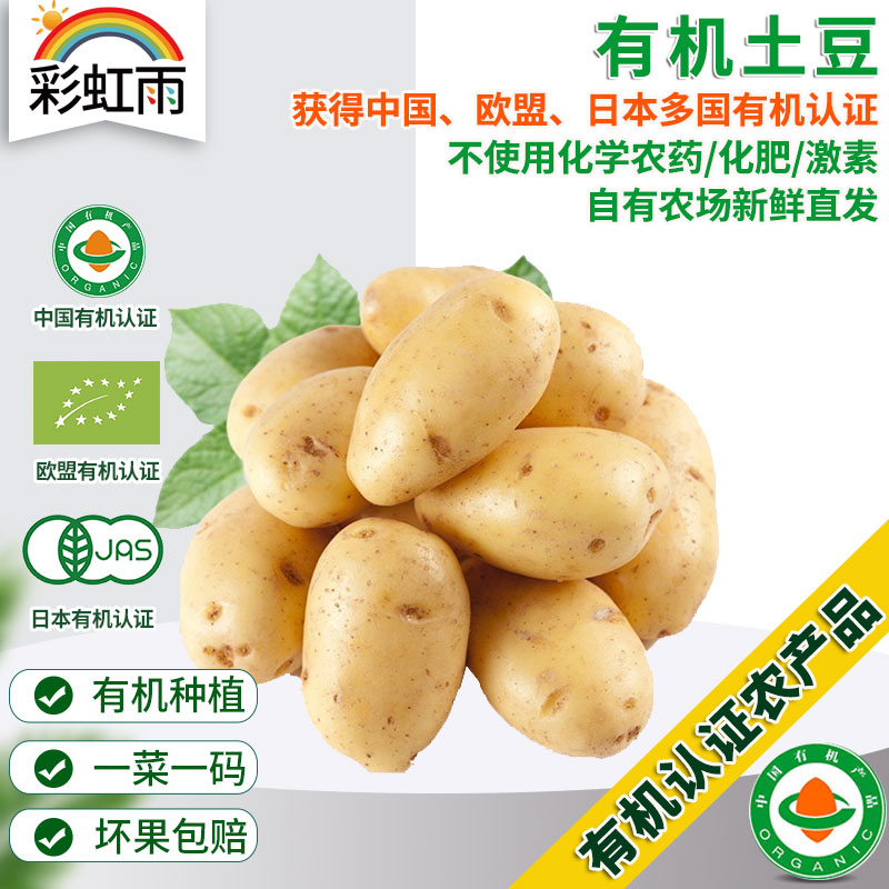 彩虹雨 有机蔬菜土豆 马铃薯500g 欧盟认证全国发货满额包邮