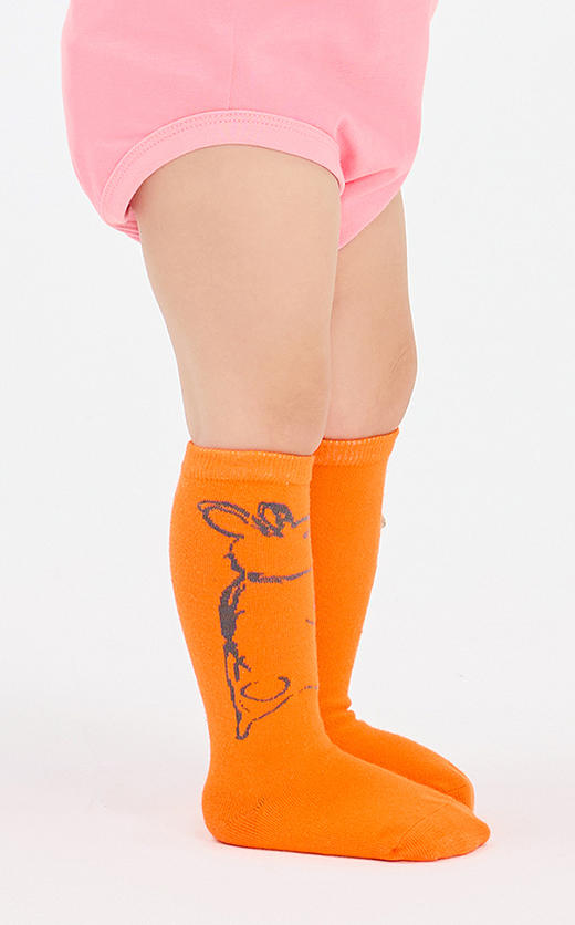 jnby   25年春款  中筒袜  XP3N11100 商品图7