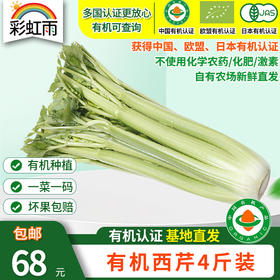 包邮【基地直发】有机西芹4斤/6斤/10斤装 欧盟认证北京农场新鲜有机蔬菜