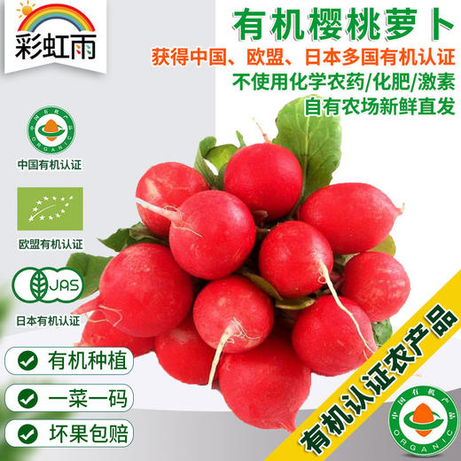 全国发货满额包邮  有机蔬菜 蔬菜樱桃萝卜250g 欧盟认证彩虹雨北京农场 商品图0