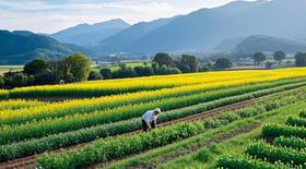  春信至｜一口山野甜，唤醒春日仪式感 