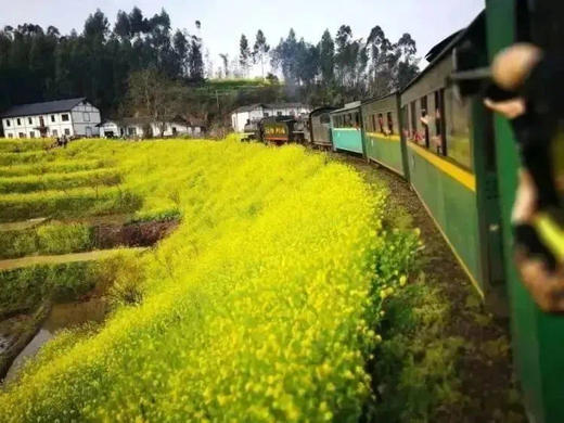 🚂【乐山犍为县· 新兴世纪酒店+嘉阳小火车】
周边打卡犍为文庙、中国煤炭博物馆
打卡乐山美食
299元=住1间1晚+双人早餐+2张短途往返小火车票
使用时间：即日-2025.12.30 商品图2