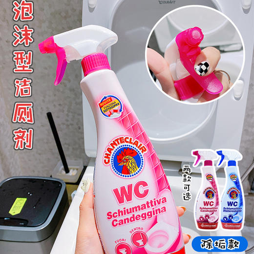 大公鸡管家 马桶洁厕液（漂白款）粉 商品图1