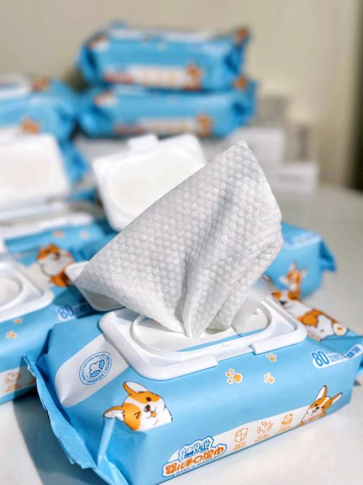 带娃出游必备湿巾❗️8大包+送10小包到手18包❗️【‍加恩倍婴儿手口湿巾】无限回购🔥7次净化的EDI纯水 🚑医用级水质！擦脸 擦手 擦pp 都可以！ 商品图1