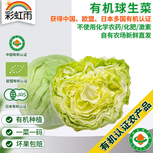 彩虹雨 北京配送 有机蔬菜球生菜400g 京津冀满百包邮 商品图0