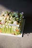 浅草（抹茶鲜乳） 商品缩略图5