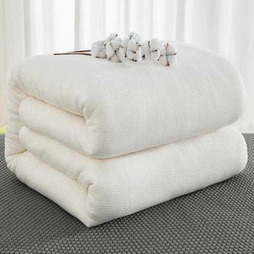 【无科技100%新疆棉】新疆长绒棉棉被 商品图4