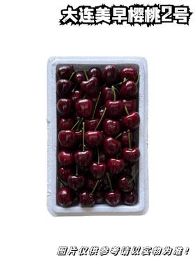 大连美早樱桃精品2号  去盖儿毛重1.6斤上下