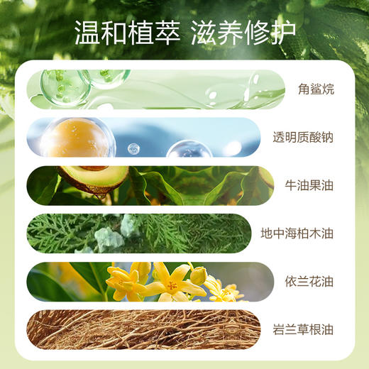 歌莱妮柔润香氛护手霜檀木香新品30ml 商品图1