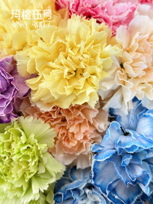 2025女神节花束——缤纷彩虹康乃馨 商品图3