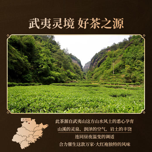 正山堂岩语 万家大红袍茶叶礼盒装 特级武夷岩茶乌龙茶送礼长辈99g 商品图4