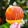 中华红橙 商品缩略图5
