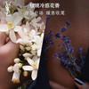 YSL香水自由之水7.5ml/铂金之境1.2ml 商品缩略图12