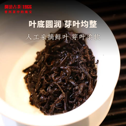 【1斤】澜沧古茶2018年金乔木普洱茶熟茶云南茶叶迷你小玉饼散称 商品图4