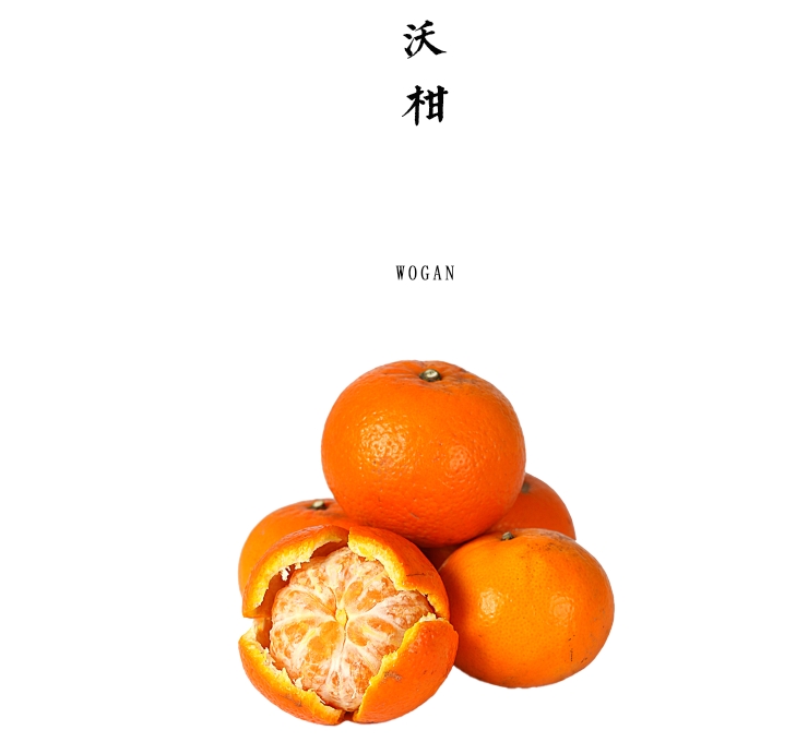 沃柑 2.5kg【基地直发】产地：广西（部分沃柑表面有花皮和锈斑，不影响食用）