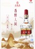 52°普五第八代五粮液 商品缩略图0