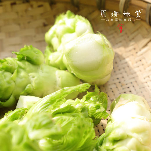 生态儿菜【含儿菜妈妈】（农场直发-顺丰包邮） | 4斤装，来自成都郫都【原乡农场，自产自销】 商品图1