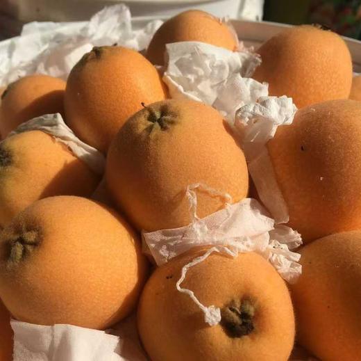 【四川攀枝花米易枇杷】淡淡的清甜，吃起来，软滑爽口，汁多鲜美 商品图8