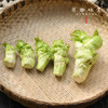生态儿菜【含儿菜妈妈】（农场直发-顺丰包邮） | 4斤装，来自成都郫都【原乡农场，自产自销】 商品缩略图4