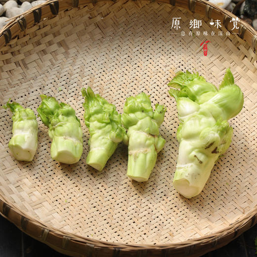 生态儿菜【含儿菜妈妈】（农场直发-顺丰包邮） | 4斤装，来自成都郫都【原乡农场，自产自销】 商品图4