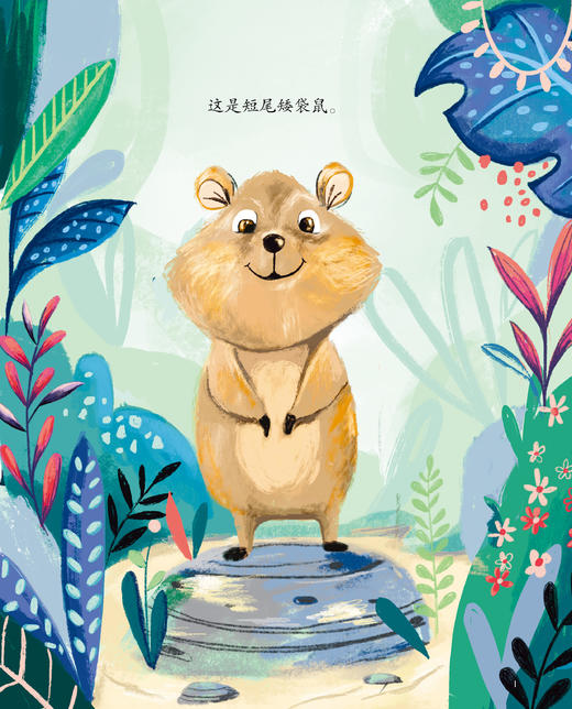 读懂我的小小担忧系列-儿童情绪管理与性格培养绘本（共9册） 商品图8