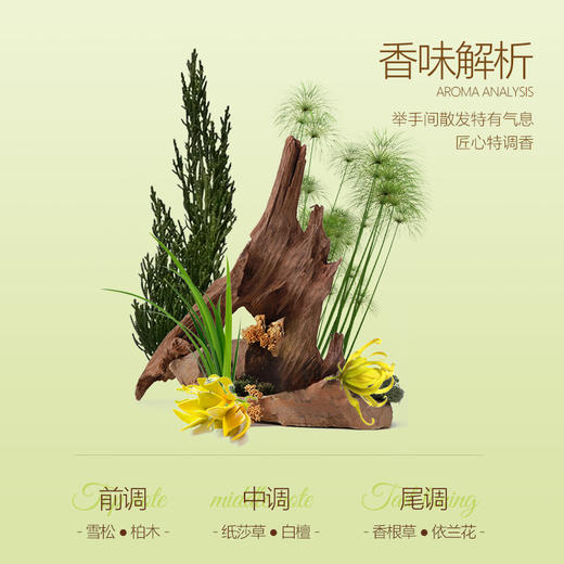 歌莱妮柔润香氛护手霜檀木香新品30ml 商品图3