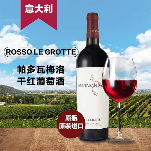 意大利帕多瓦梅洛干红葡萄酒 750ML 酒精度13.5%vol 原瓶原装进口 商品图0