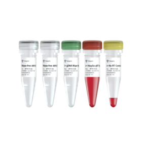 HisyGo RT Red SuperMix for qPCR (+gDNA Wiper）