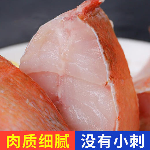 【顺丰冷链直发❗鲜冻红石斑鱼】让您足不出户吃上新鲜海味，从深海到餐桌看得见的品质，特大鲜活冷冻富贵鱼，新鲜长寿鱼东星斑L 商品图1