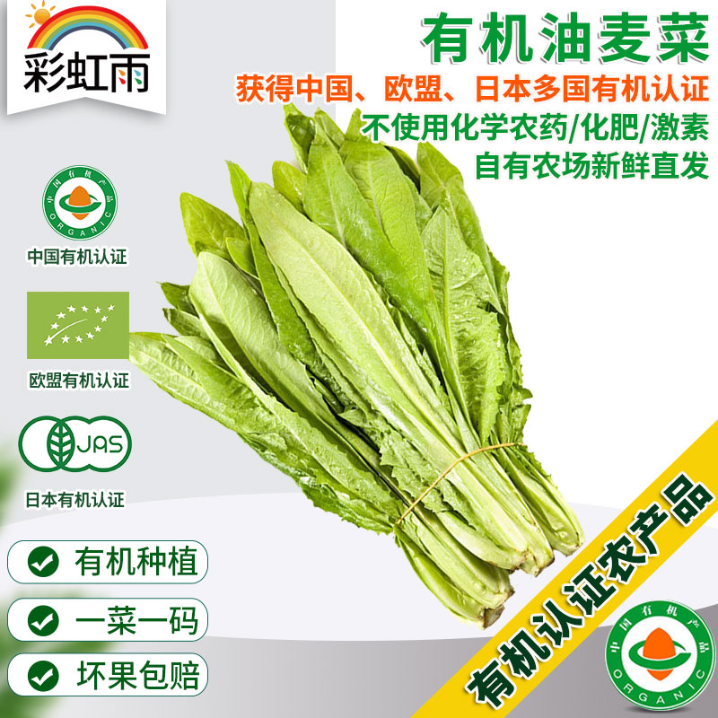 彩虹雨 新鲜有机蔬菜 油麦菜250g 欧盟认证京津冀满百包邮