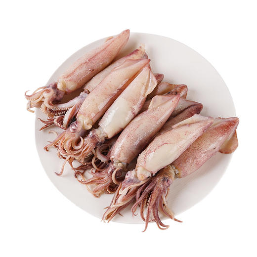 【顺丰冷链直发❗新鲜全籽海兔】让您足不出户吃上新鲜海味，从深海到餐桌看得见的品质，特大鲜活冷冻纯籽籽乌，速冻海捕野生满籽笔管鱼L 商品图2