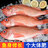 【顺丰冷链直发❗鲜冻红石斑鱼】让您足不出户吃上新鲜海味，从深海到餐桌看得见的品质，特大鲜活冷冻富贵鱼，新鲜长寿鱼东星斑L 商品缩略图0